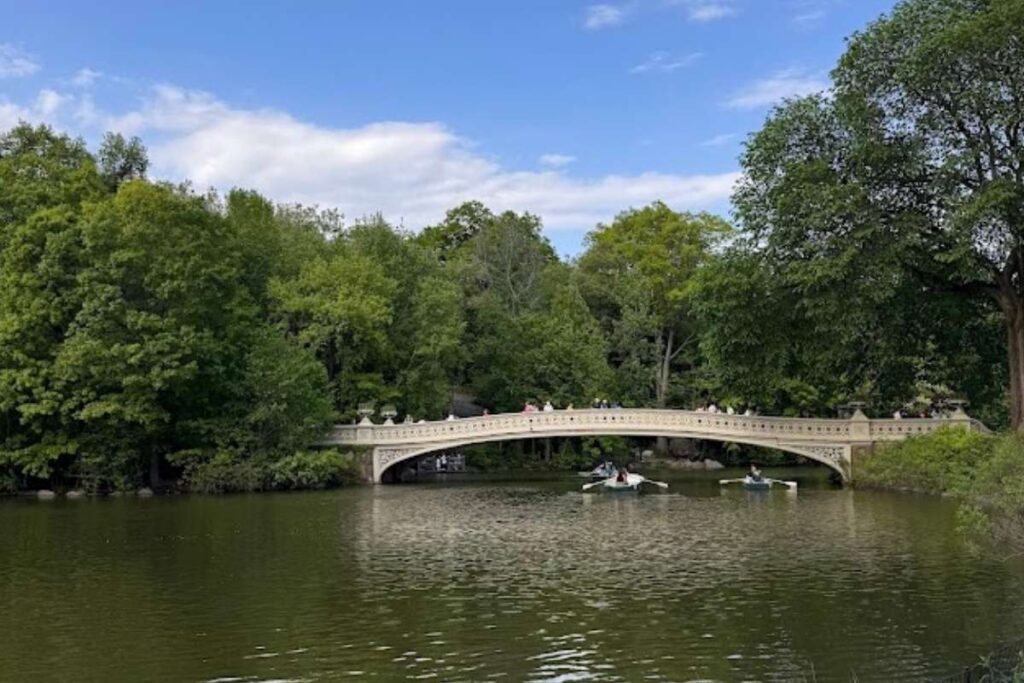Central Park - original photo