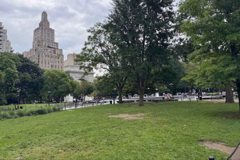 Things To Do In New York During The Day: 7 Best Daytime Activities